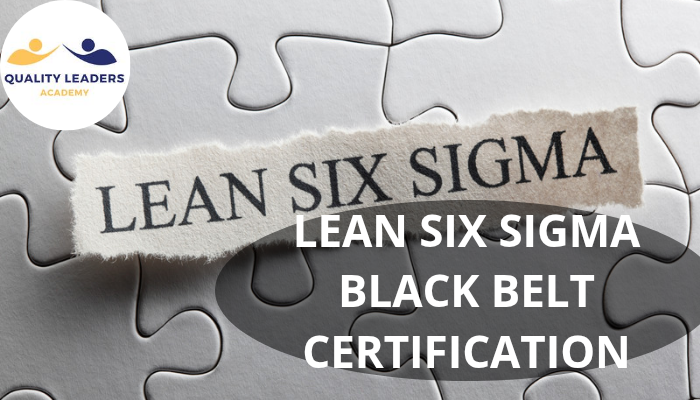 Black Belt certification 